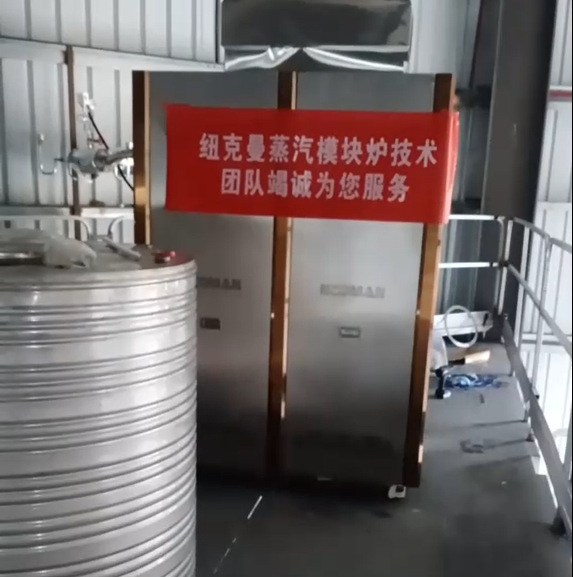 東莞某廠采購一臺紐克曼超低氮蒸汽模塊爐，設(shè)備已調(diào)試完畢!