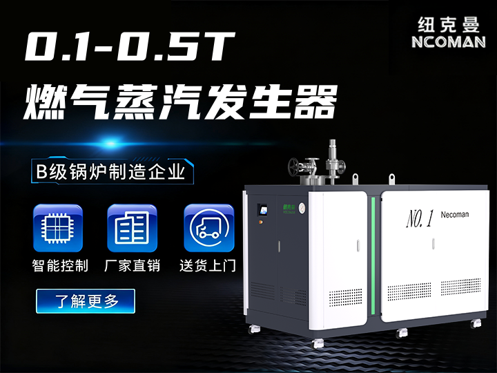 0.1噸-0.5噸 燃?xì)馊加驼羝l(fā)生器