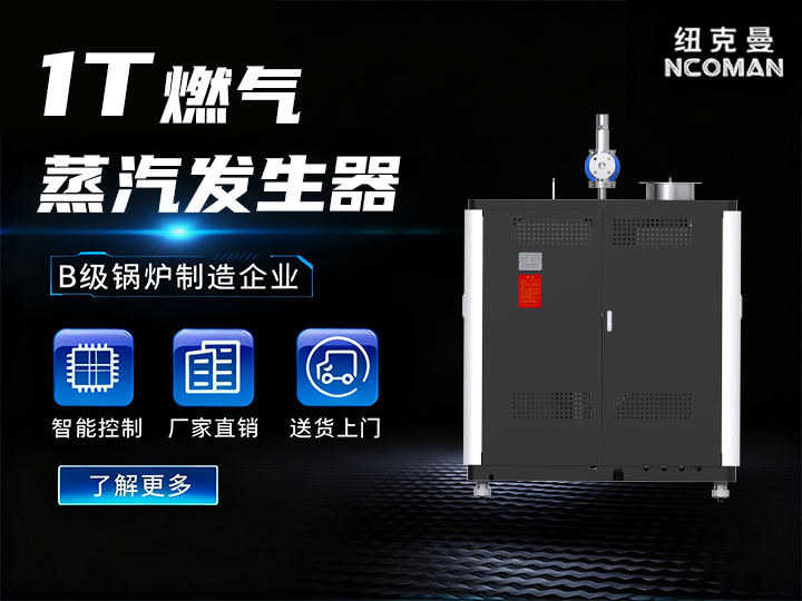 1噸 燃氣燃油蒸汽發(fā)生器