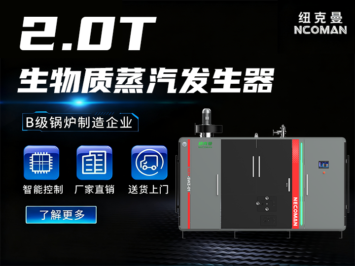 2噸 生物質(zhì)蒸汽發(fā)生器