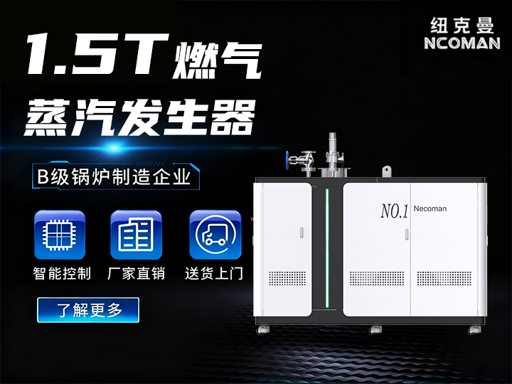 1.5噸 燃?xì)馊加驼羝l(fā)生器